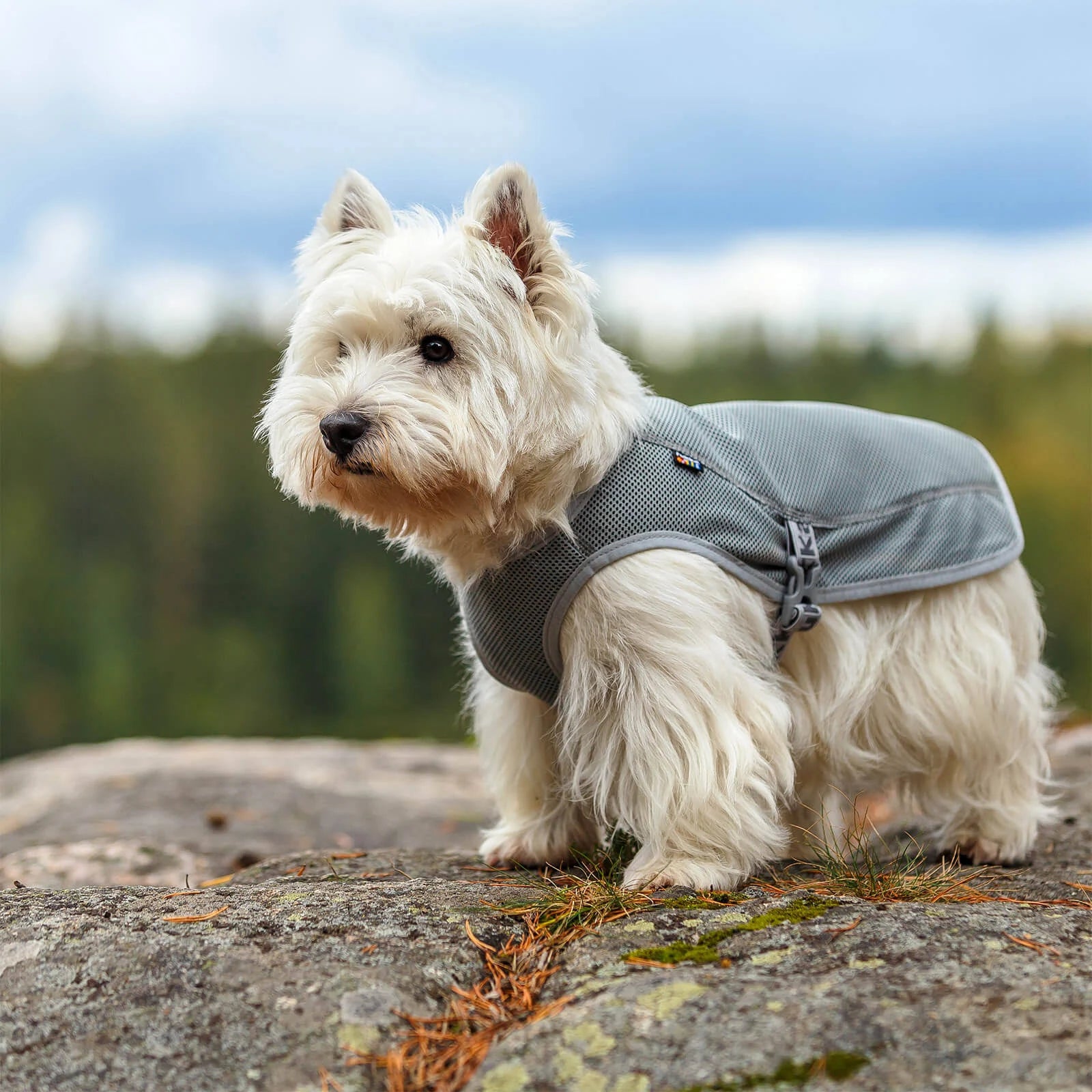 Rukka Pets Cooling Dog Vest (Grey, XL)