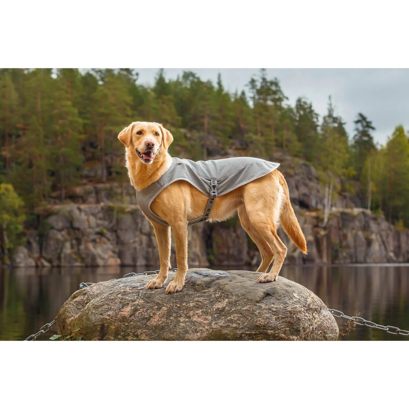 Rukka Pets Cooling Dog Vest (Grey, XL)