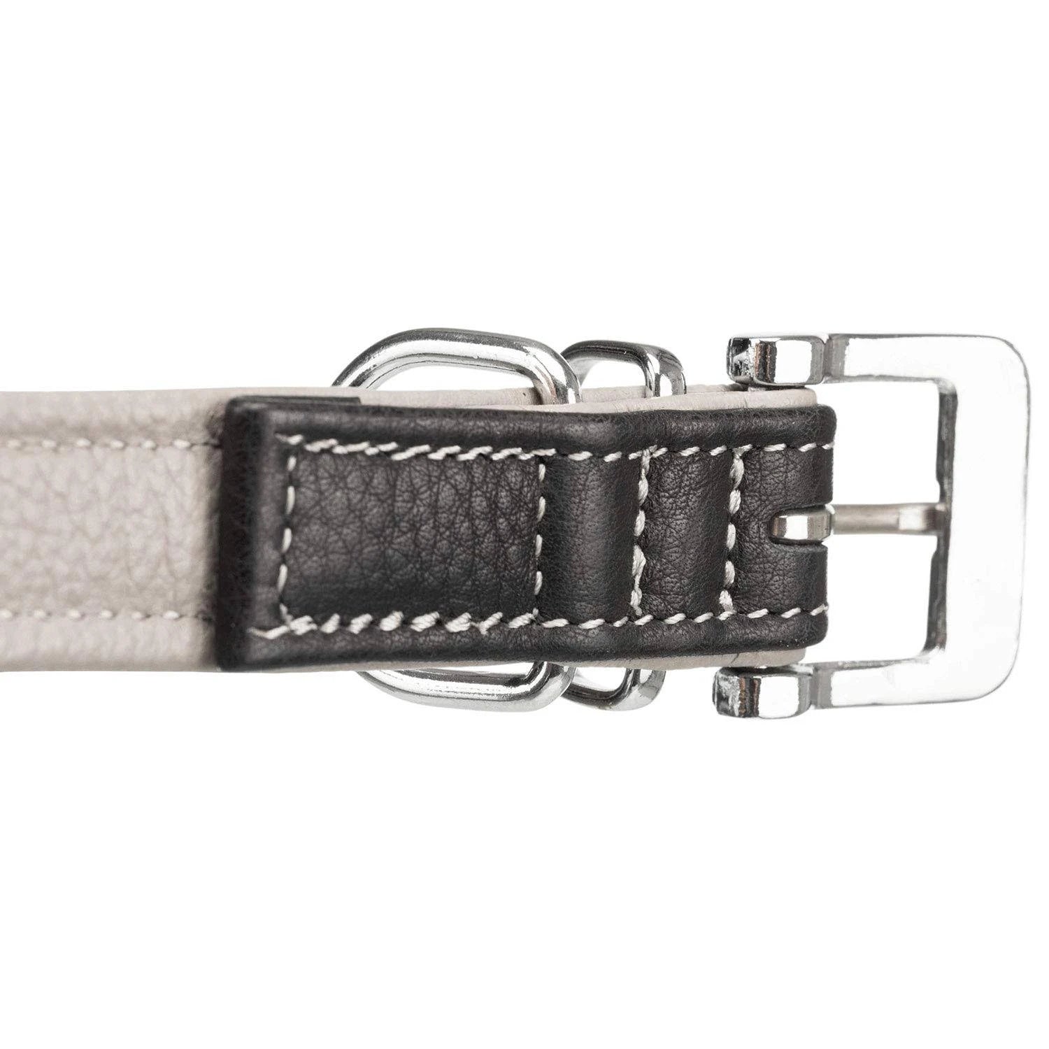 Dog Collars Trixie Active Comfort Collar